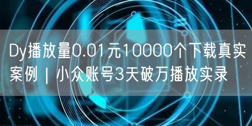 Dy播放量0.01元10000个下载真实